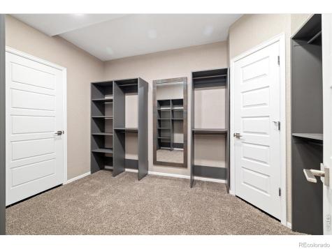 6725 Mentha Drive Castle Rock CO 80108