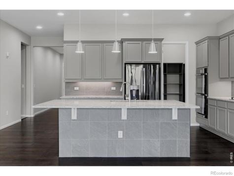 6725 Mentha Drive Castle Rock CO 80108
