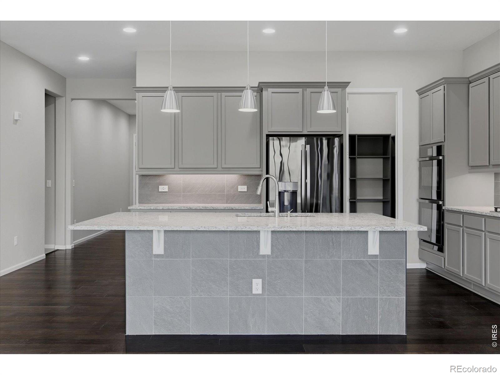 6725 Mentha Drive Castle Rock CO 80108