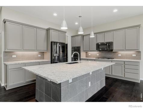 6725 Mentha Drive Castle Rock CO 80108
