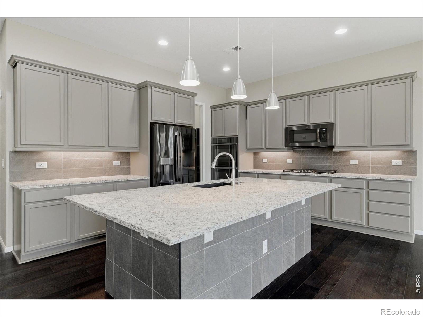 6725 Mentha Drive Castle Rock CO 80108