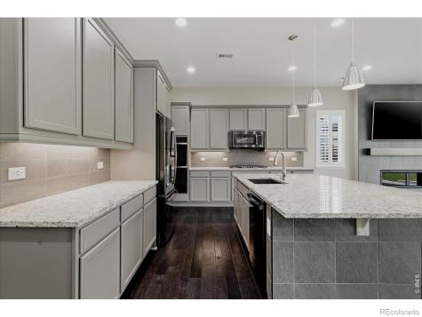 6725 Mentha Drive Castle Rock CO 80108