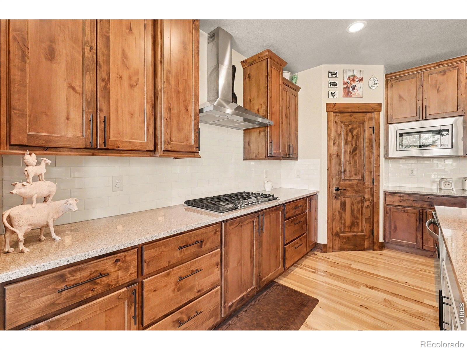 573 Vermilion Peak Drive Windsor CO 80550