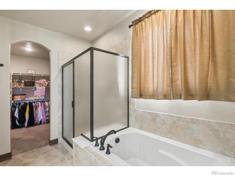 573 Vermilion Peak Drive Windsor CO 80550