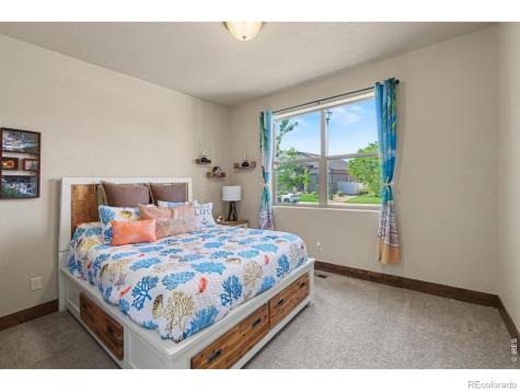 573 Vermilion Peak Drive Windsor CO 80550