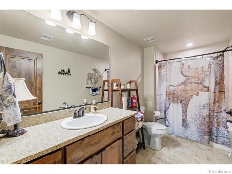 573 Vermilion Peak Drive Windsor CO 80550