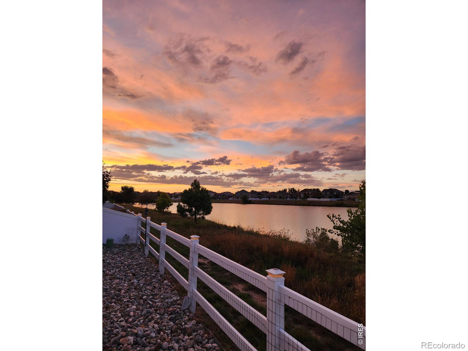 573 Vermilion Peak Drive Windsor CO 80550