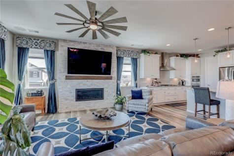 6602 Mentha Drive Castle Rock CO 80108