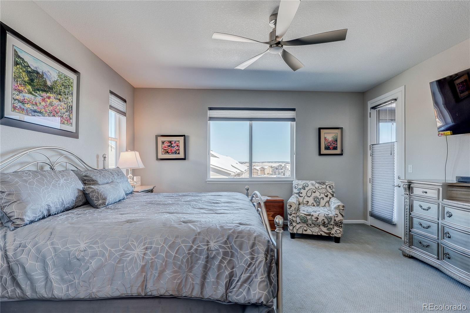 6602 Mentha Drive Castle Rock CO 80108