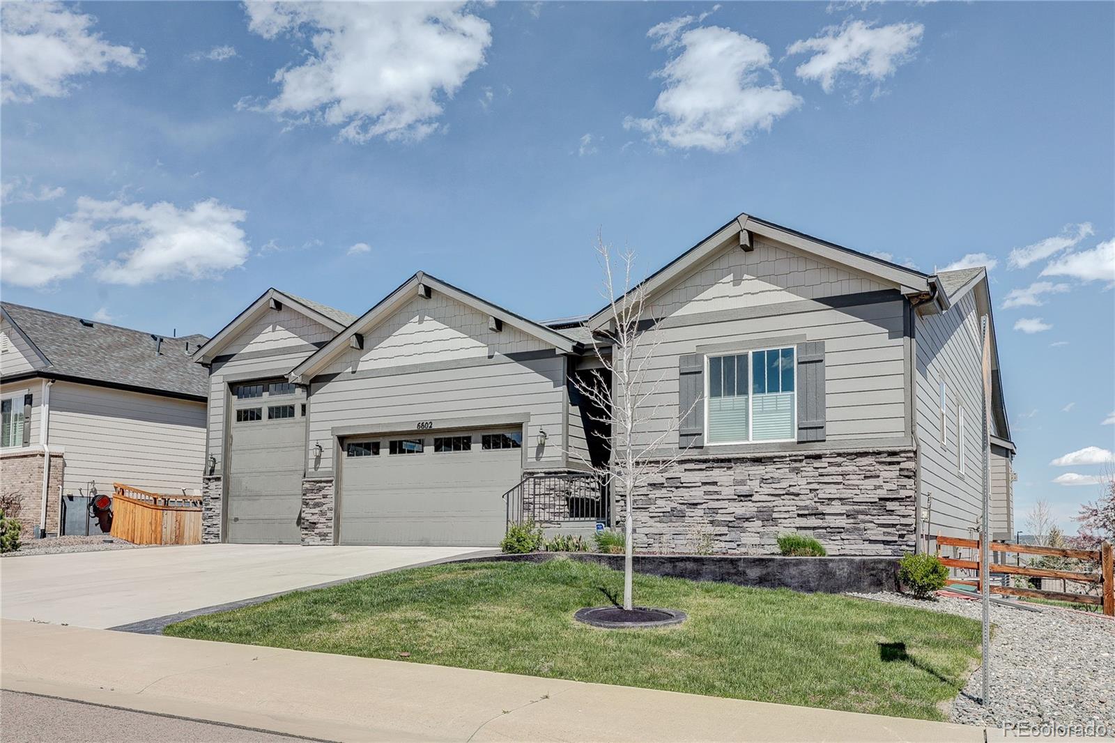 6602 Mentha Drive Castle Rock CO 80108