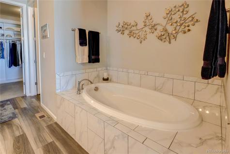 6602 Mentha Drive Castle Rock CO 80108
