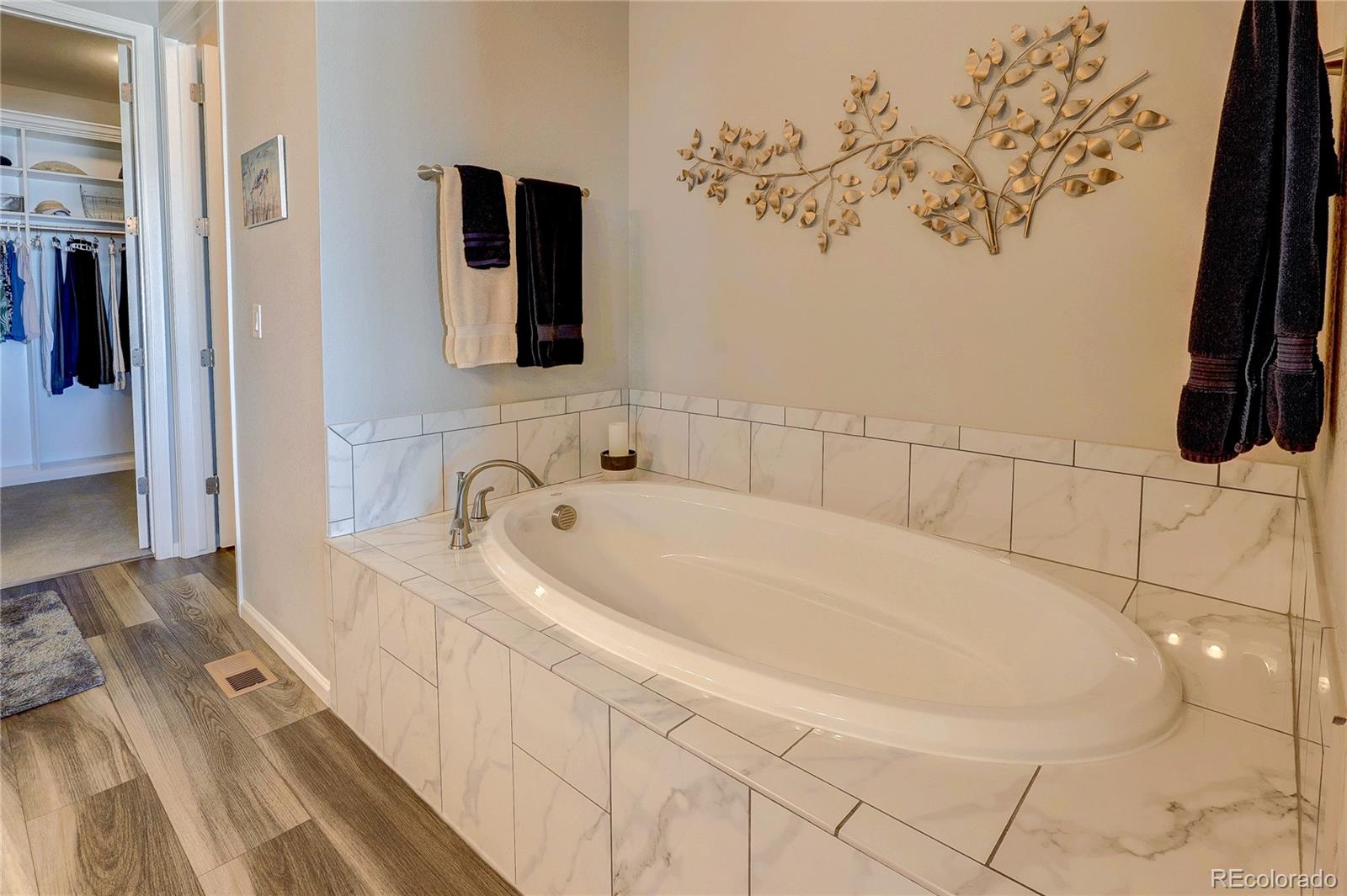 6602 Mentha Drive Castle Rock CO 80108
