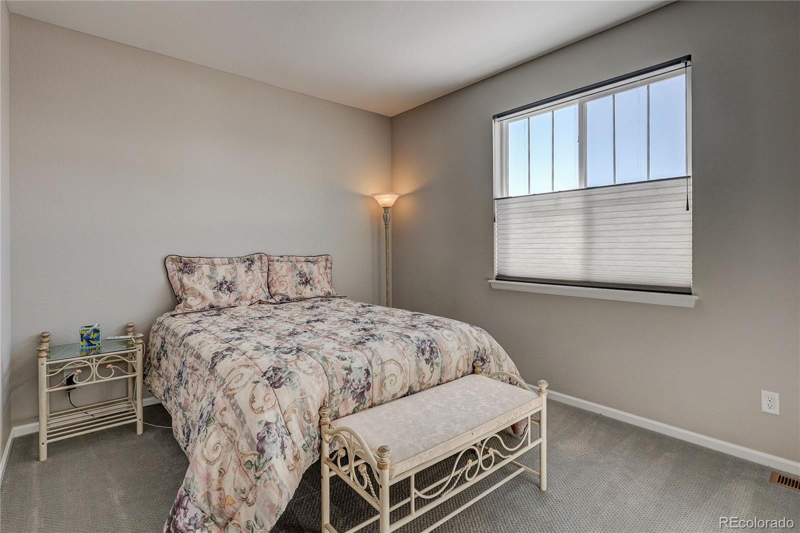 6602 Mentha Drive Castle Rock CO 80108