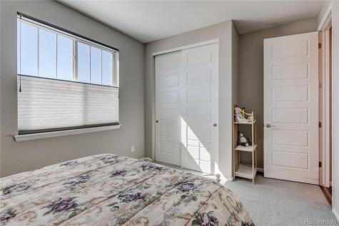 6602 Mentha Drive Castle Rock CO 80108