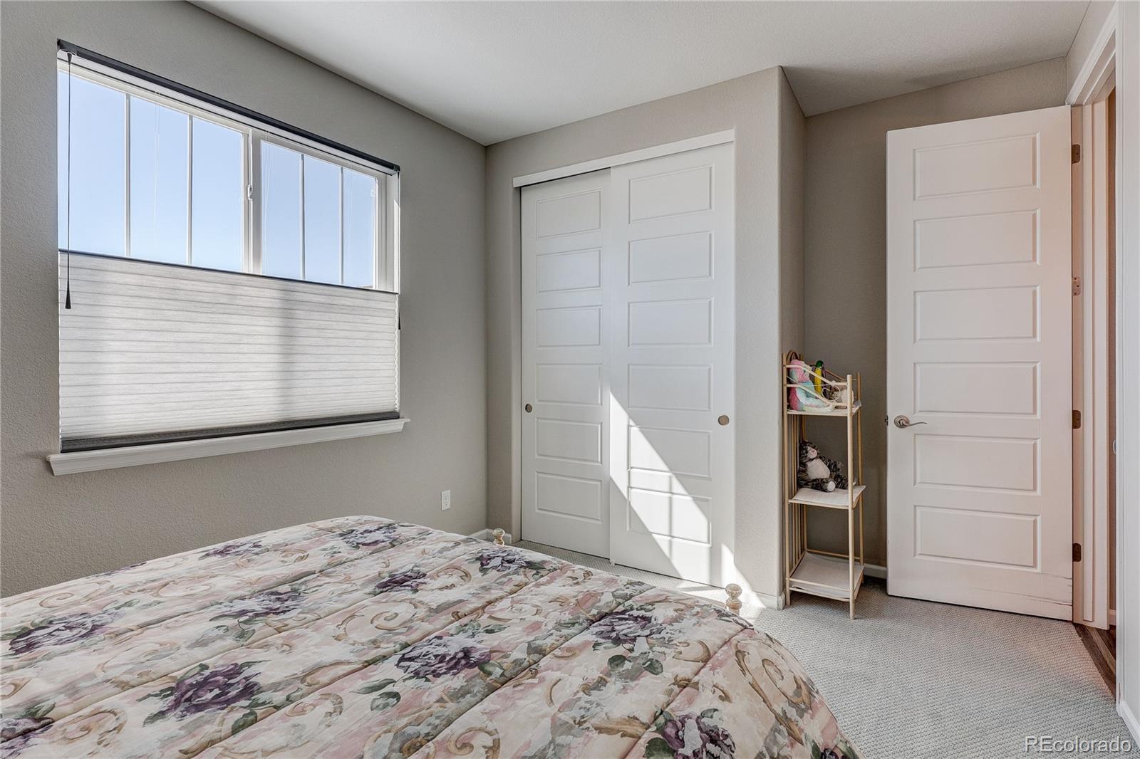 6602 Mentha Drive Castle Rock CO 80108