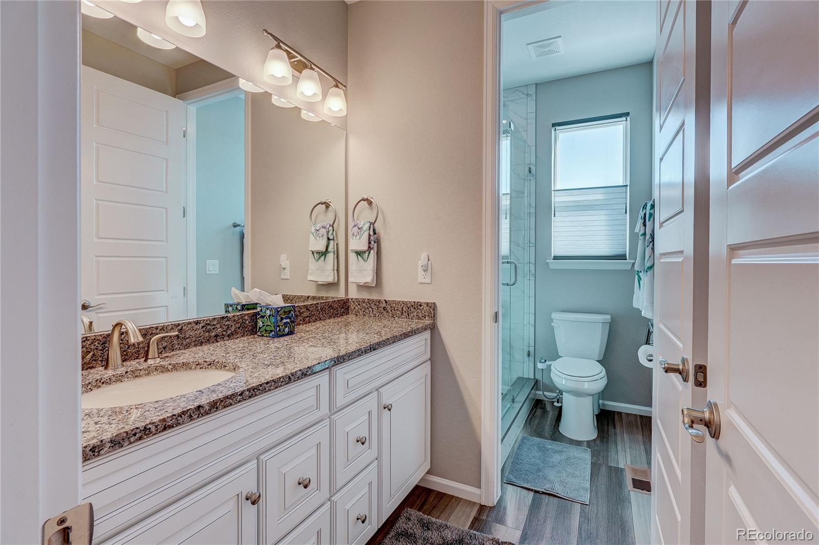 6602 Mentha Drive Castle Rock CO 80108