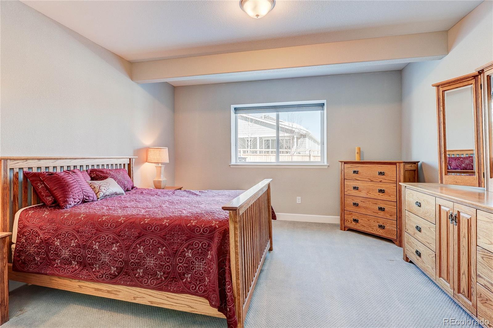 6602 Mentha Drive Castle Rock CO 80108