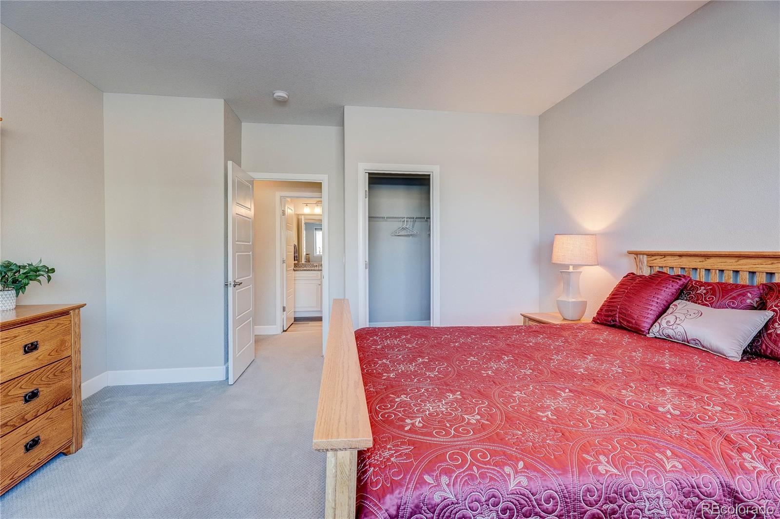 6602 Mentha Drive Castle Rock CO 80108