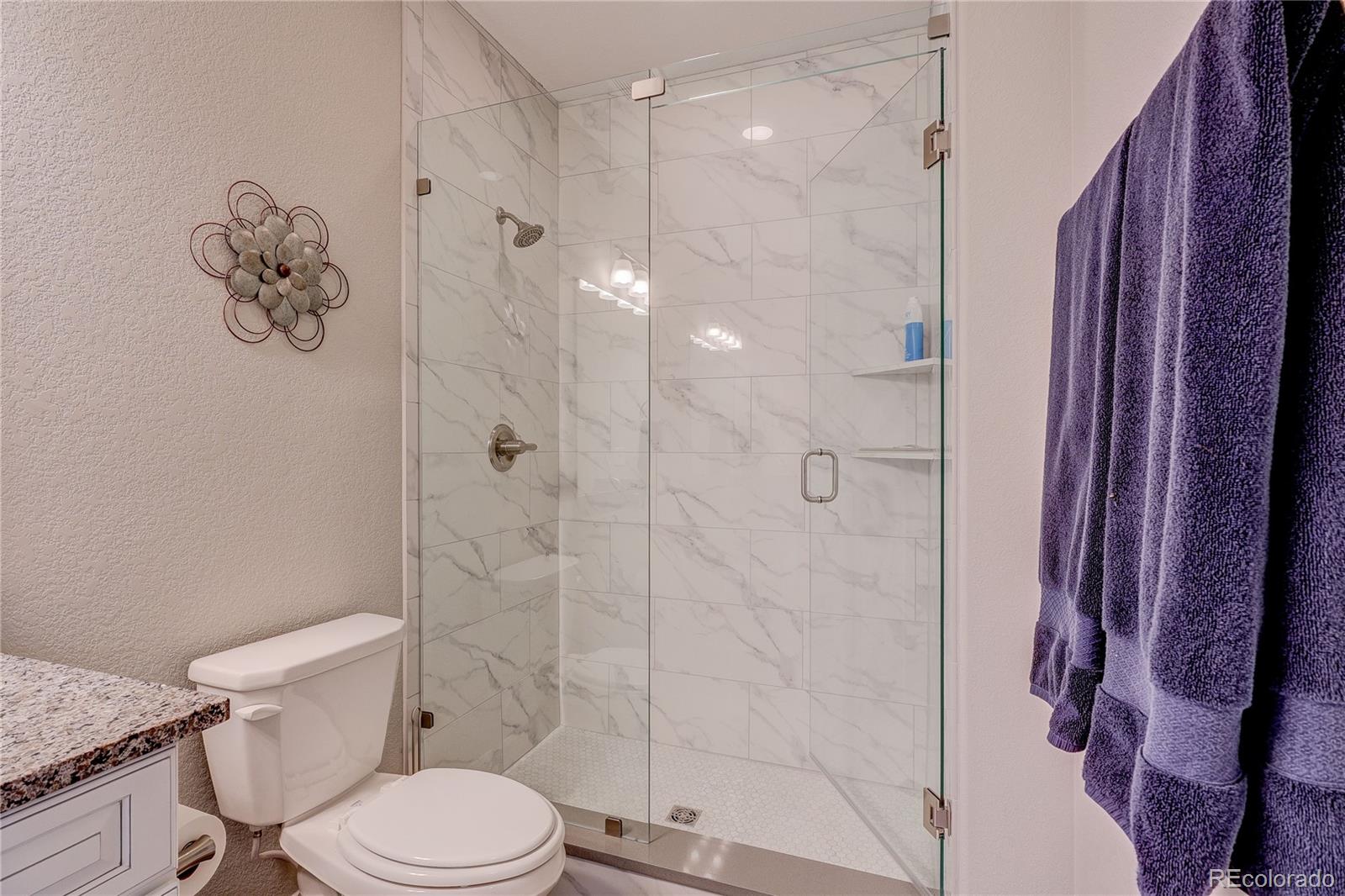 6602 Mentha Drive Castle Rock CO 80108
