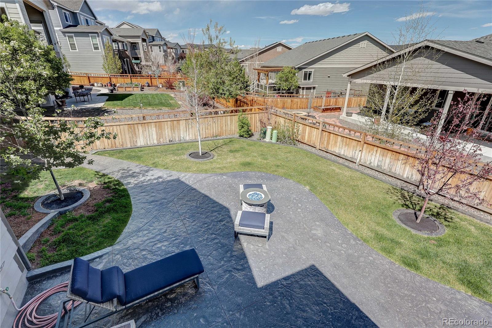 6602 Mentha Drive Castle Rock CO 80108