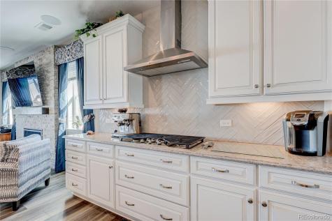6602 Mentha Drive Castle Rock CO 80108