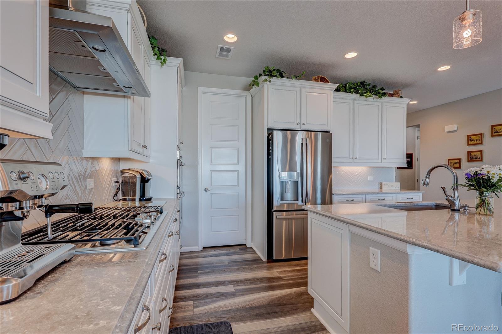 6602 Mentha Drive Castle Rock CO 80108
