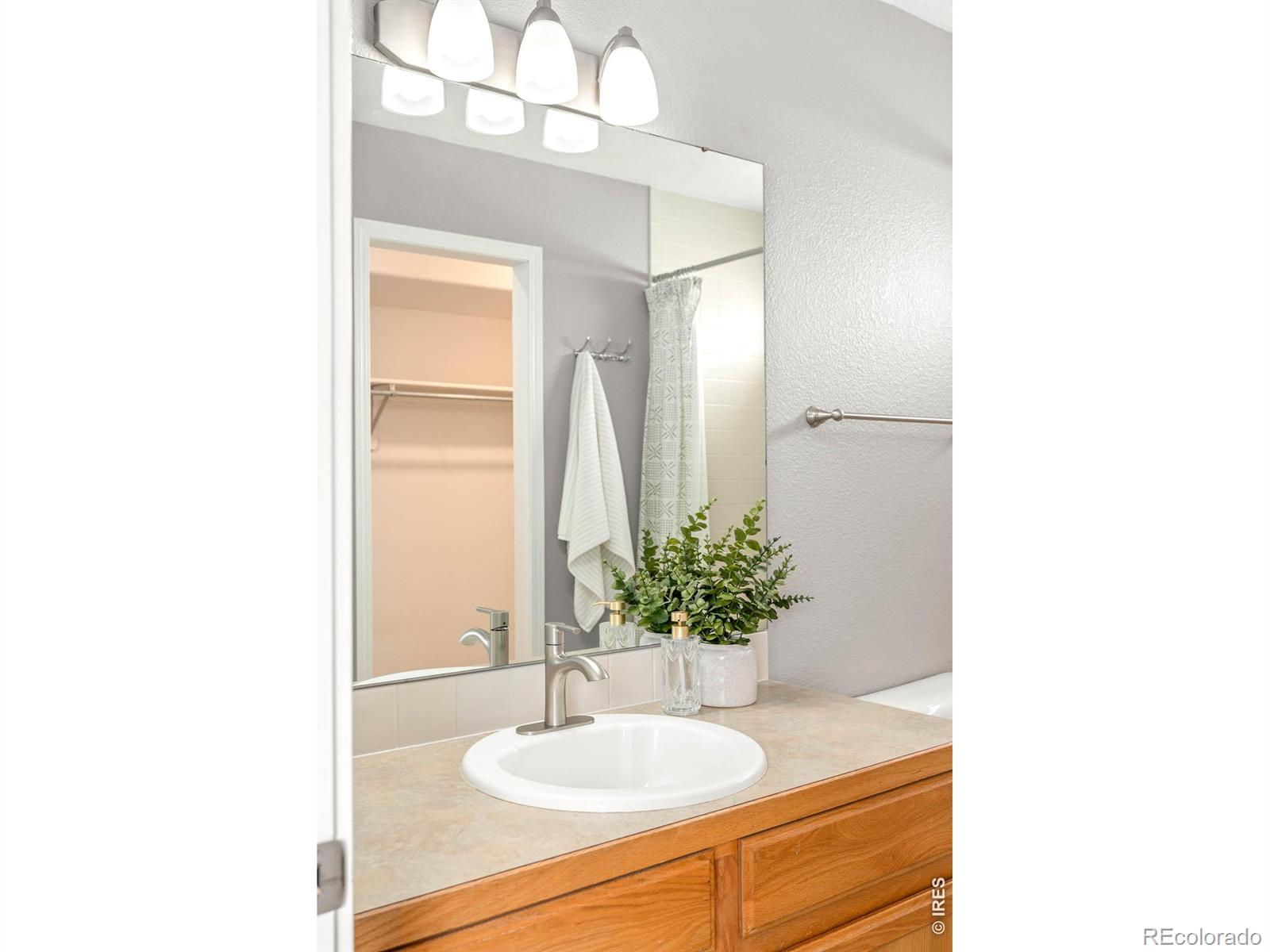 8436 Nashua Circle Wellington CO 80549