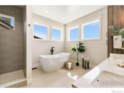 6995 Dornoch Court Timnath CO 80547