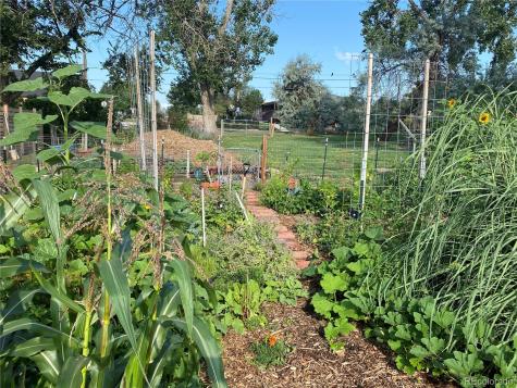 6404 Benton Street Arvada CO 80003