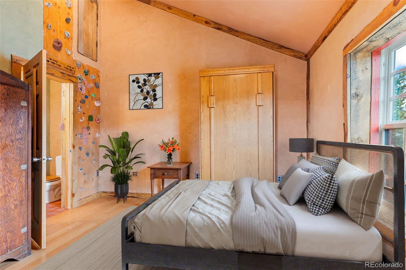 447 N Main Street Alma CO 80420