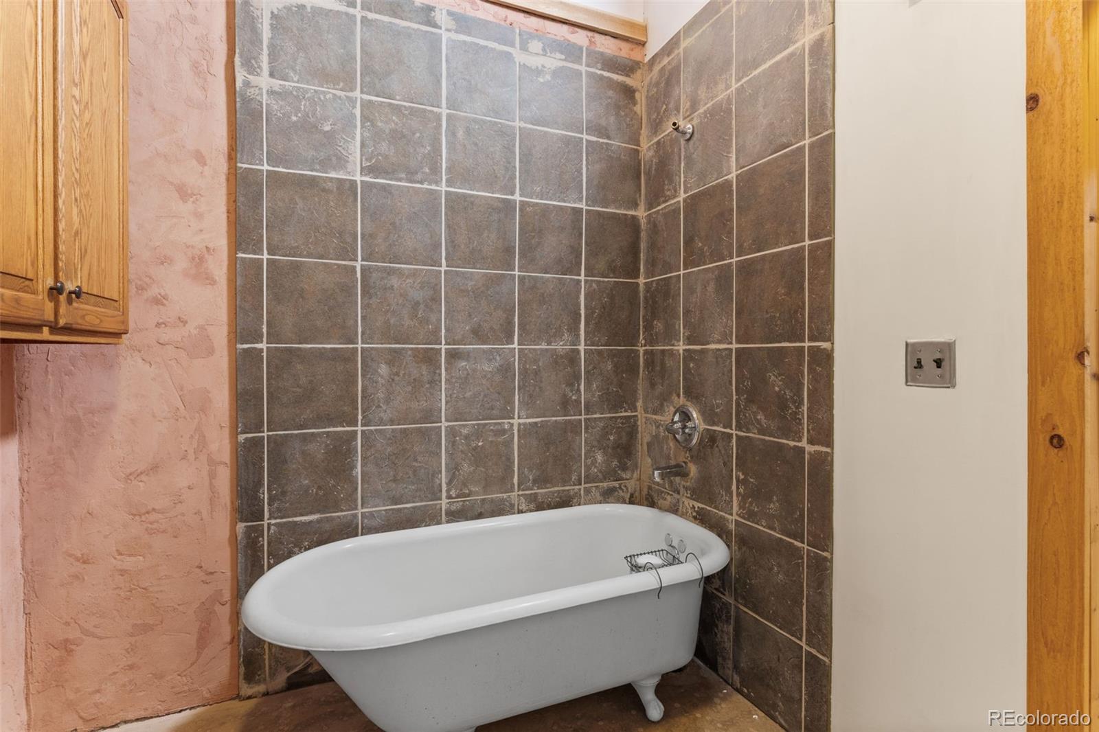 447 N Main Street Alma CO 80420