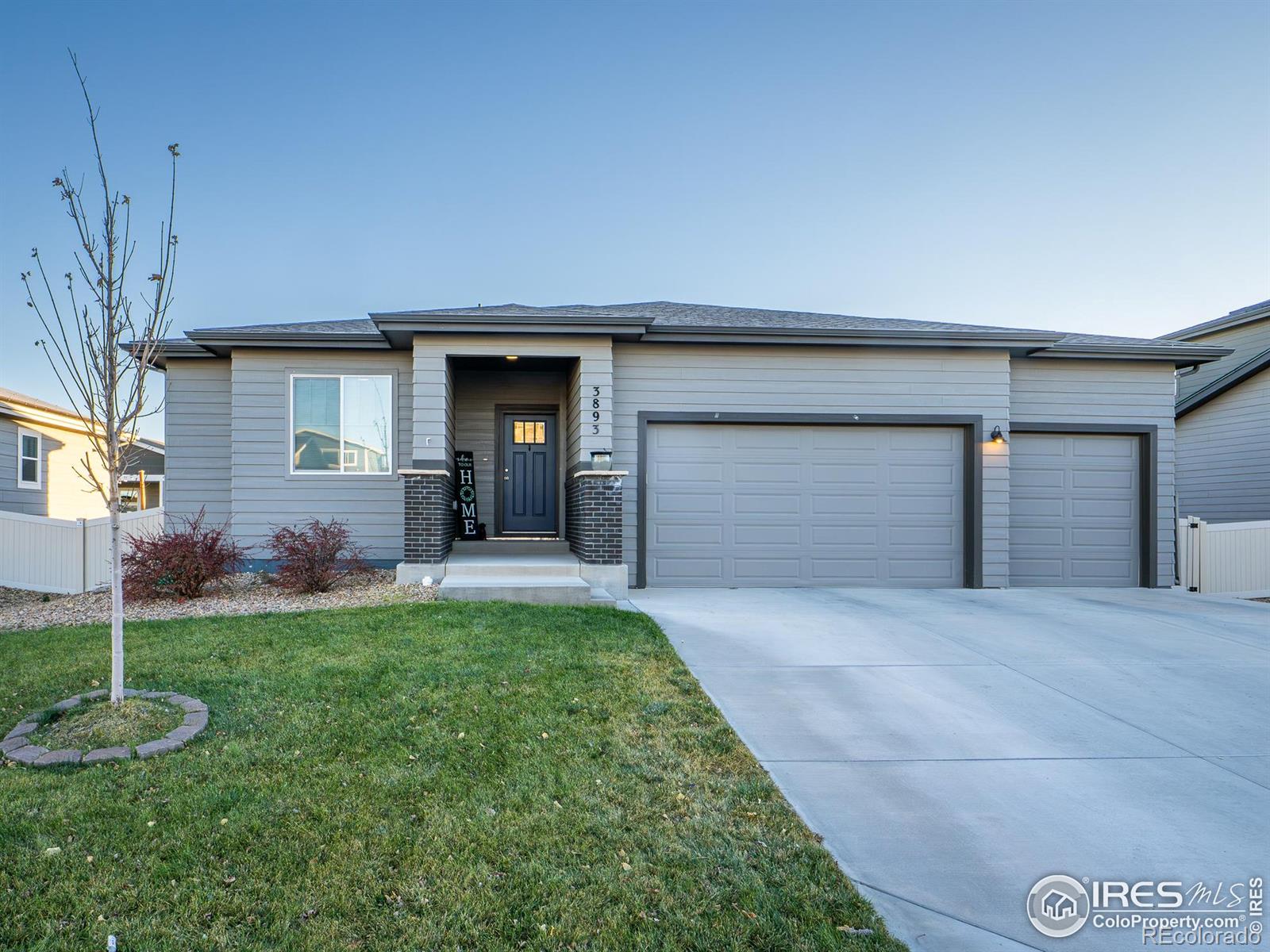 3893 Sweetgum Street Wellington CO 80549