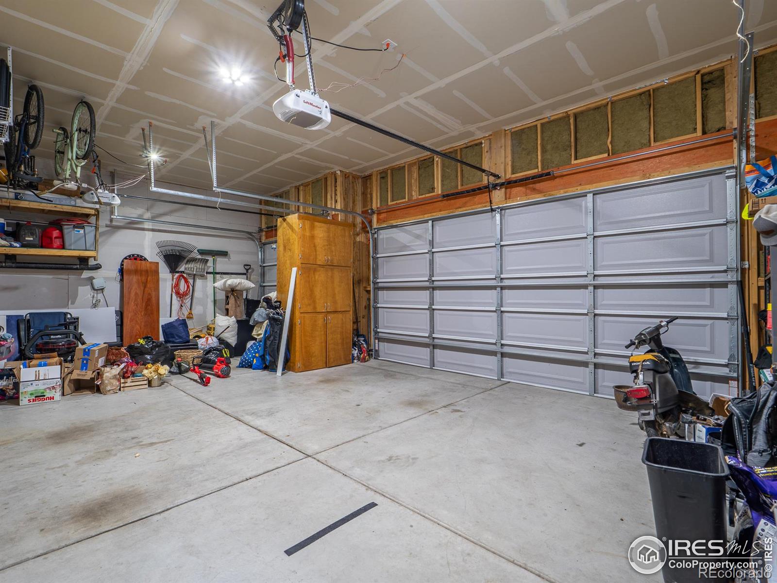 3893 Sweetgum Street Wellington CO 80549