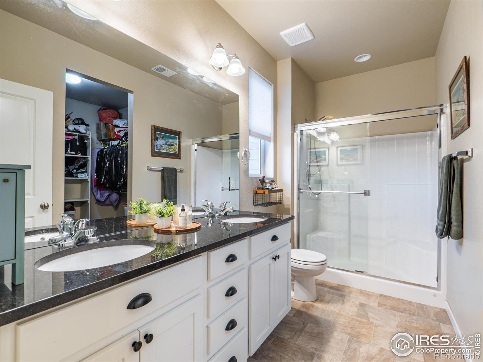 3893 Sweetgum Street Wellington CO 80549