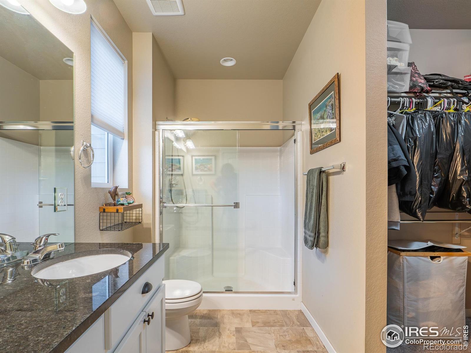 3893 Sweetgum Street Wellington CO 80549