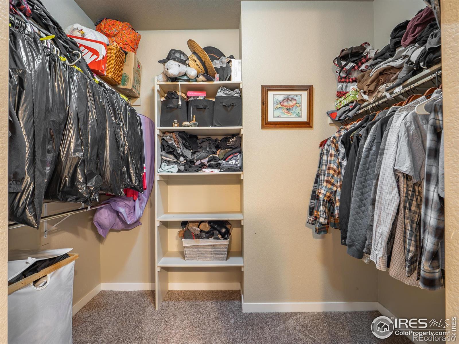 3893 Sweetgum Street Wellington CO 80549