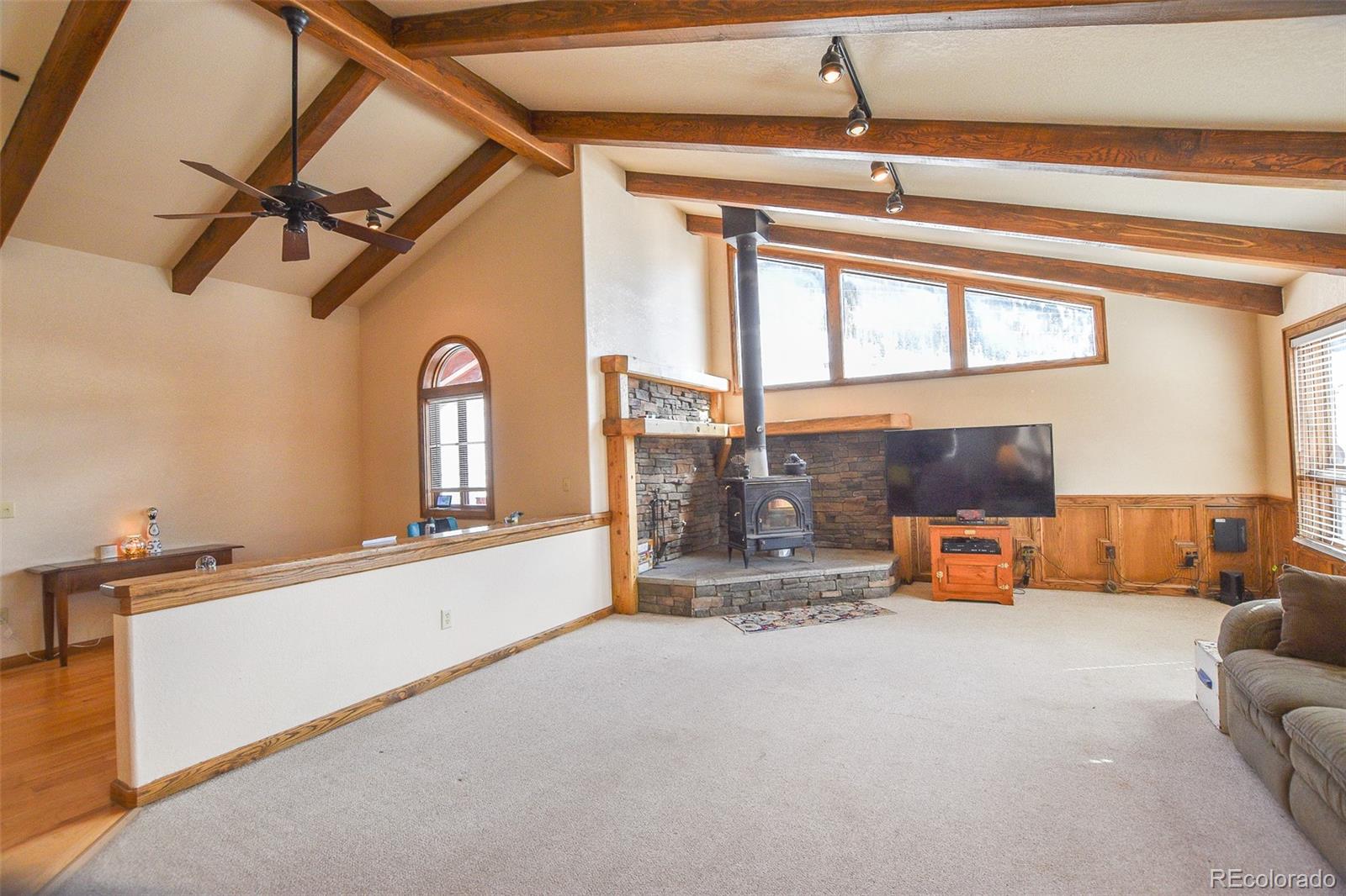 206 La Font Drive Creede CO 81130