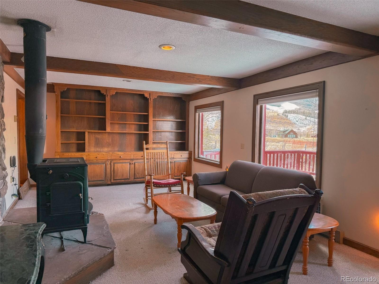 206 La Font Drive Creede CO 81130