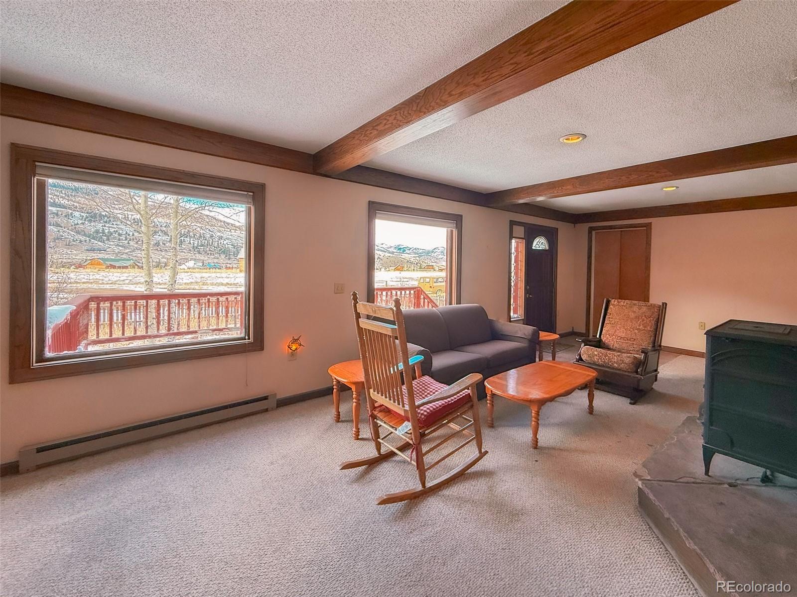 206 La Font Drive Creede CO 81130