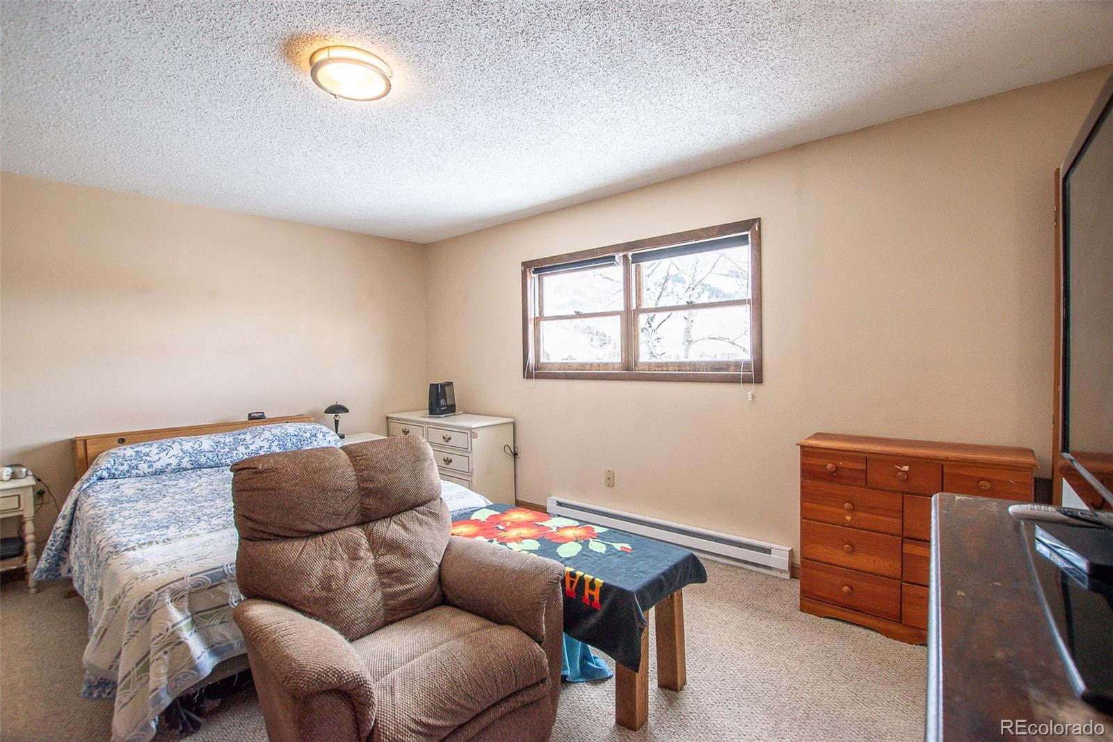 206 La Font Drive Creede CO 81130