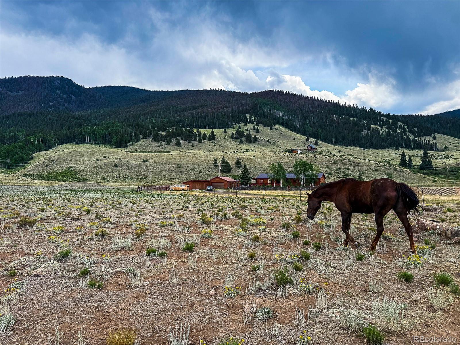 206 La Font Drive Creede CO 81130