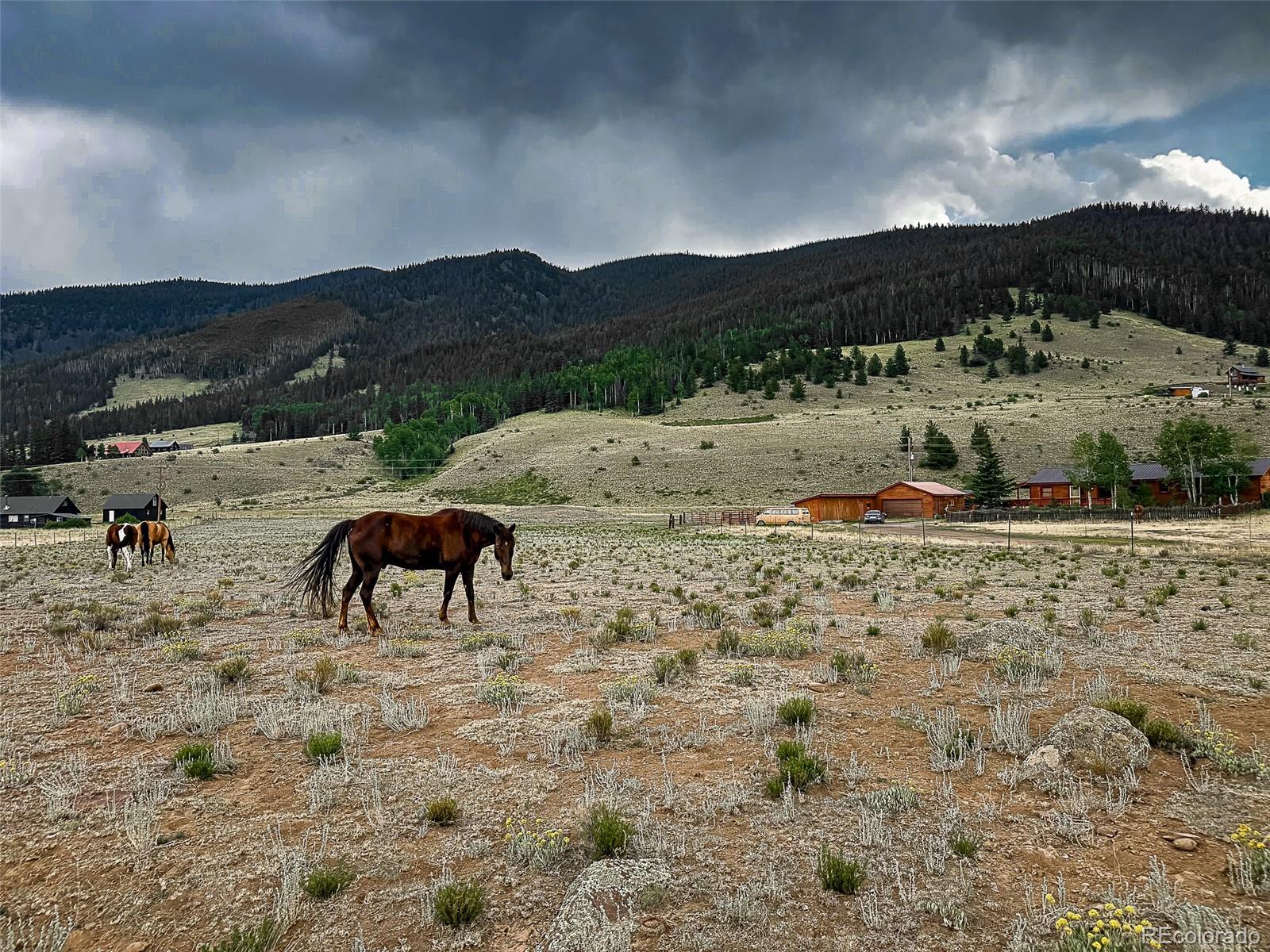 206 La Font Drive Creede CO 81130
