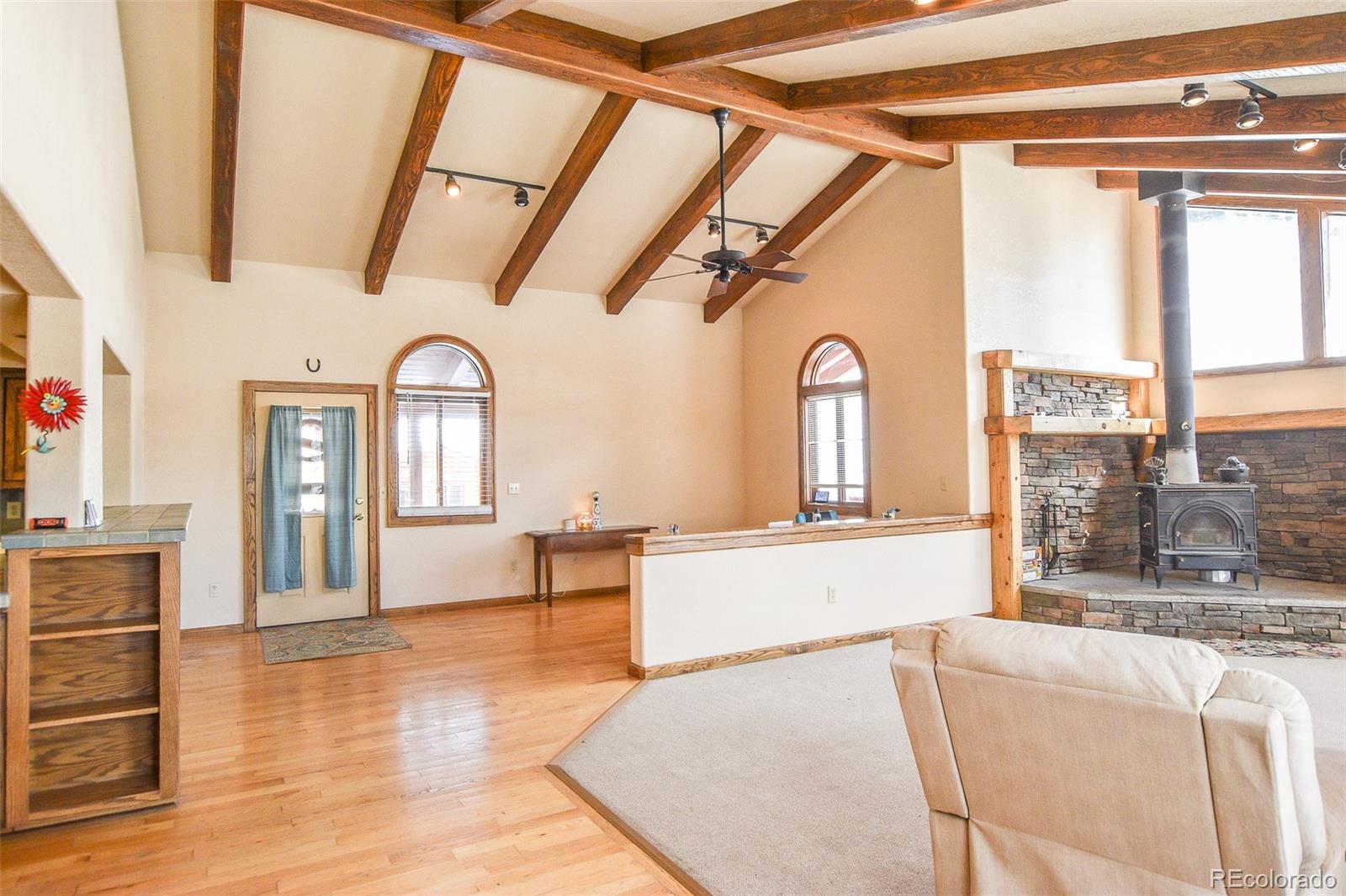 206 La Font Drive Creede CO 81130