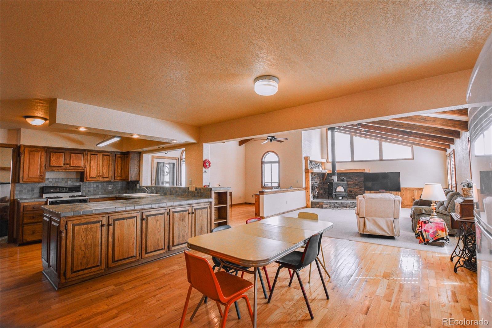 206 La Font Drive Creede CO 81130