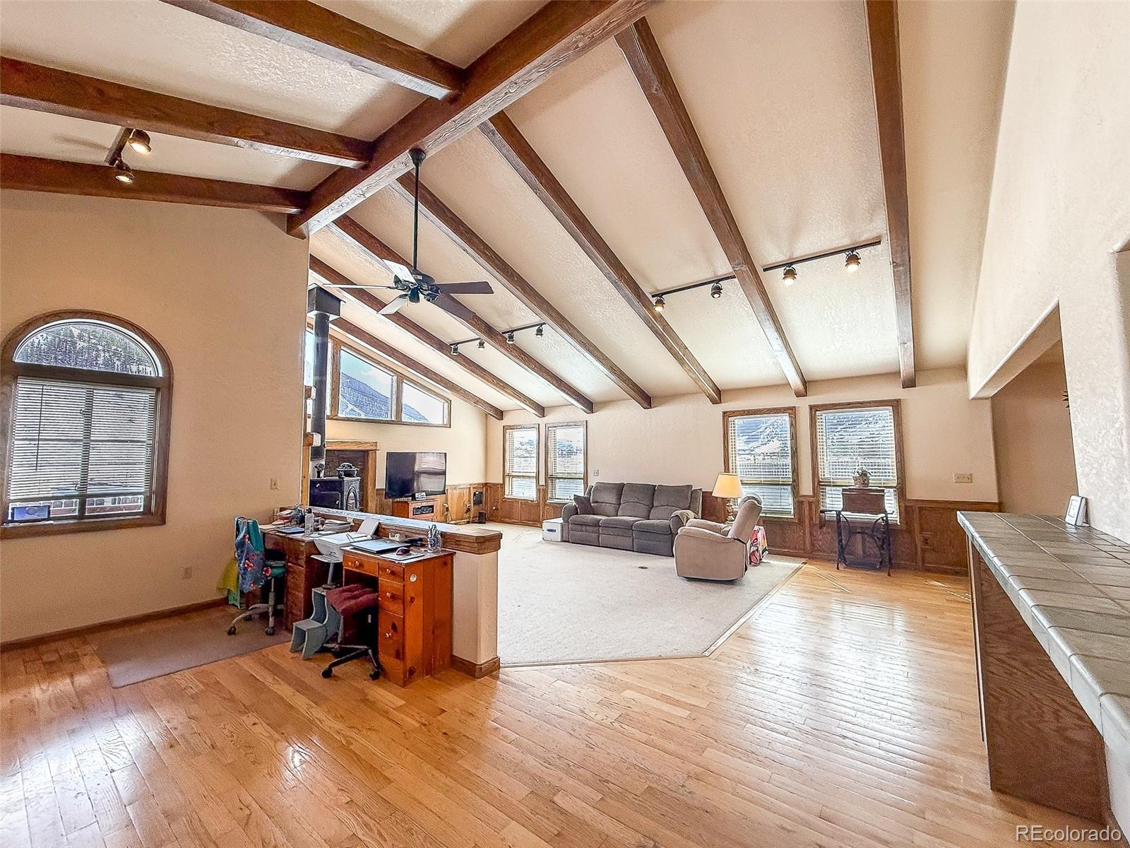 206 La Font Drive Creede CO 81130