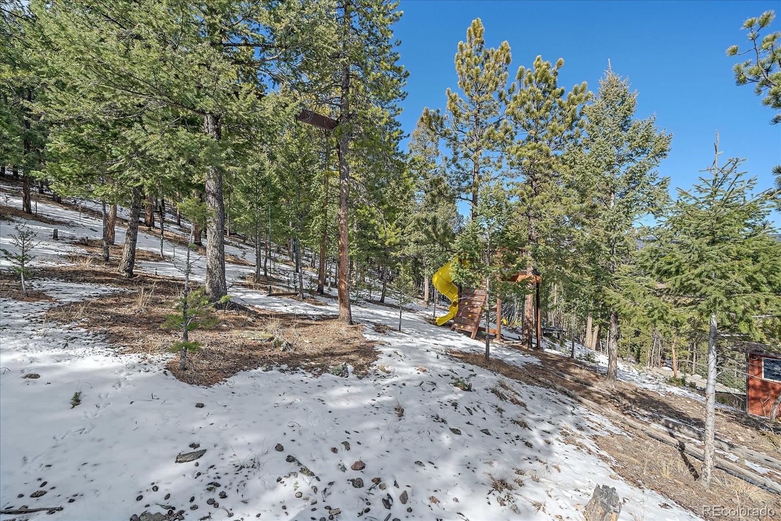 48 High View Lane Bailey CO 80421
