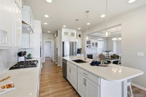 1459 Coronado Beach Drive Monument CO 80132