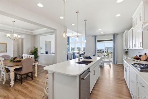 1459 Coronado Beach Drive Monument CO 80132