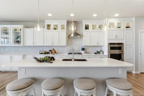 1459 Coronado Beach Drive Monument CO 80132