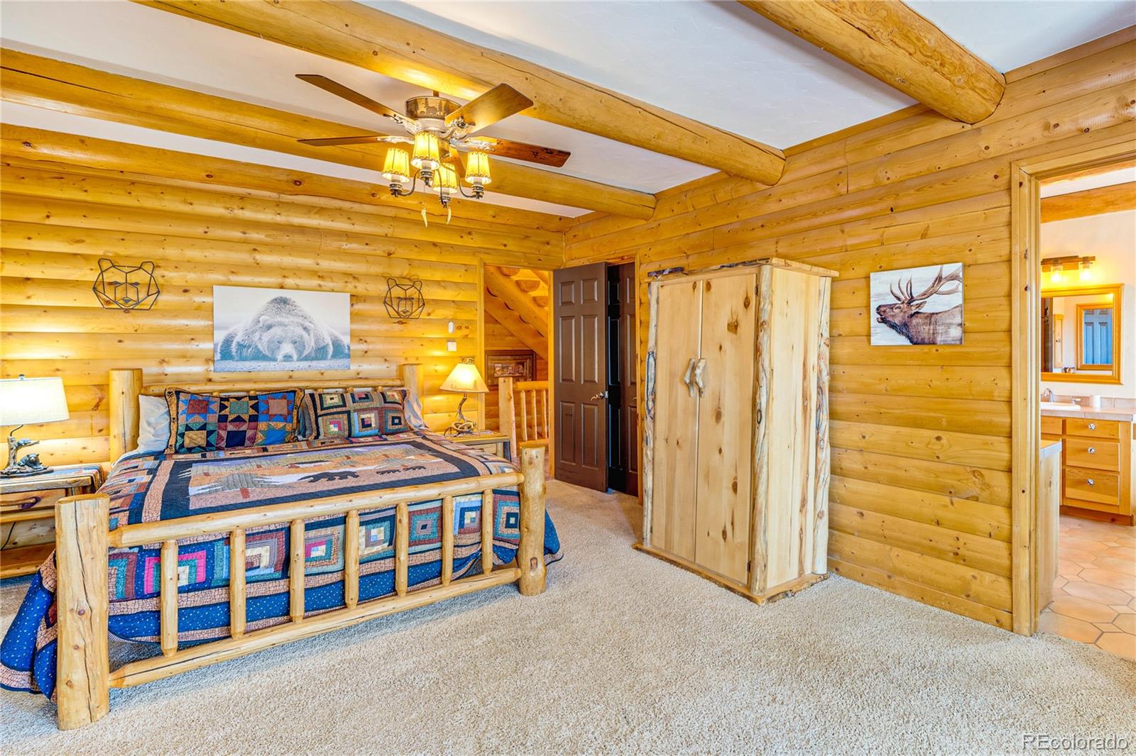 528 Mohawk Heights Florissant CO 80816
